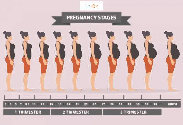 First Trimester (Weeks 1–12): Early Changes You Might Not Notice Stockport